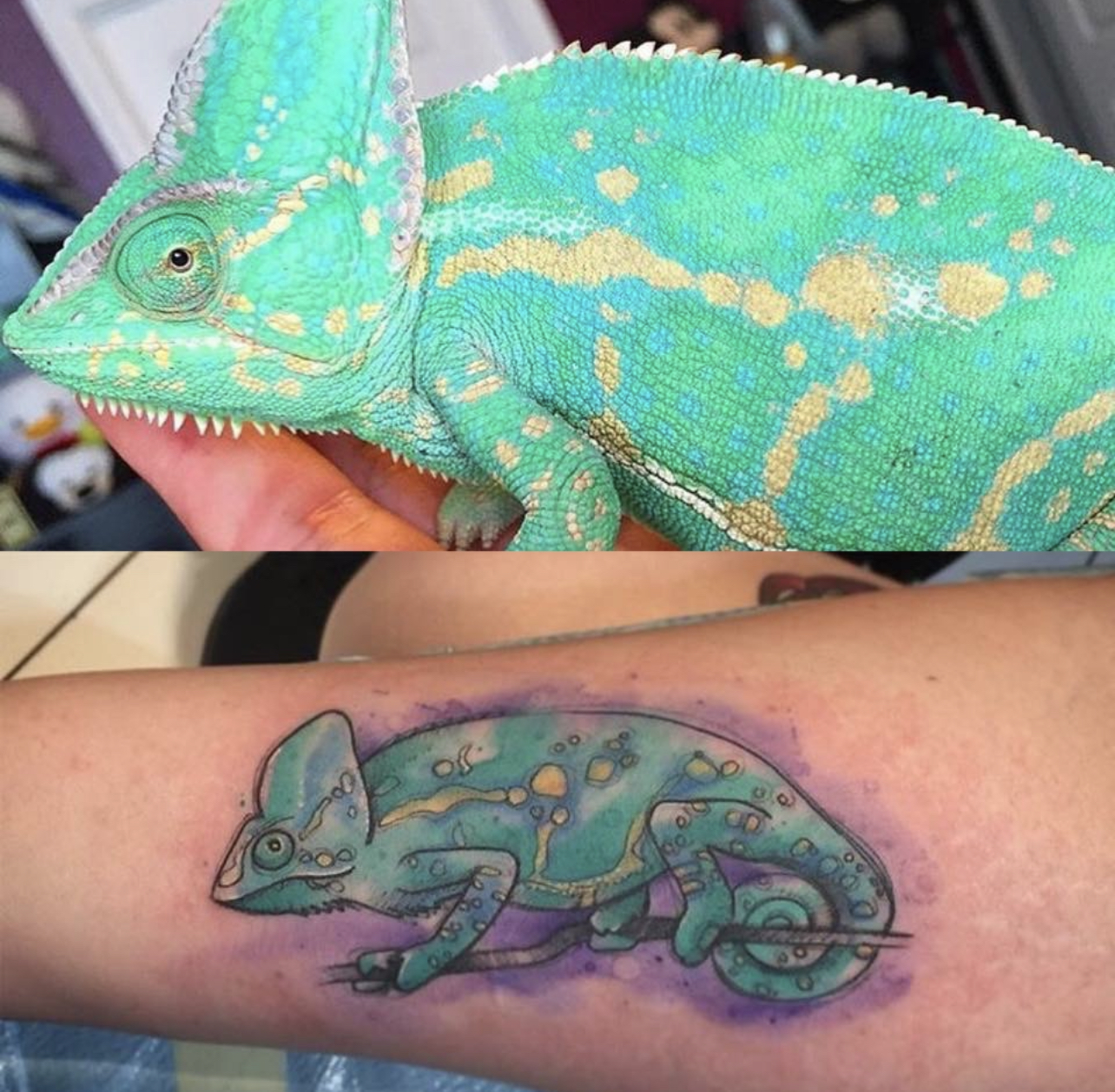 Simple chameleon tattoo - Bronctattooaus.com