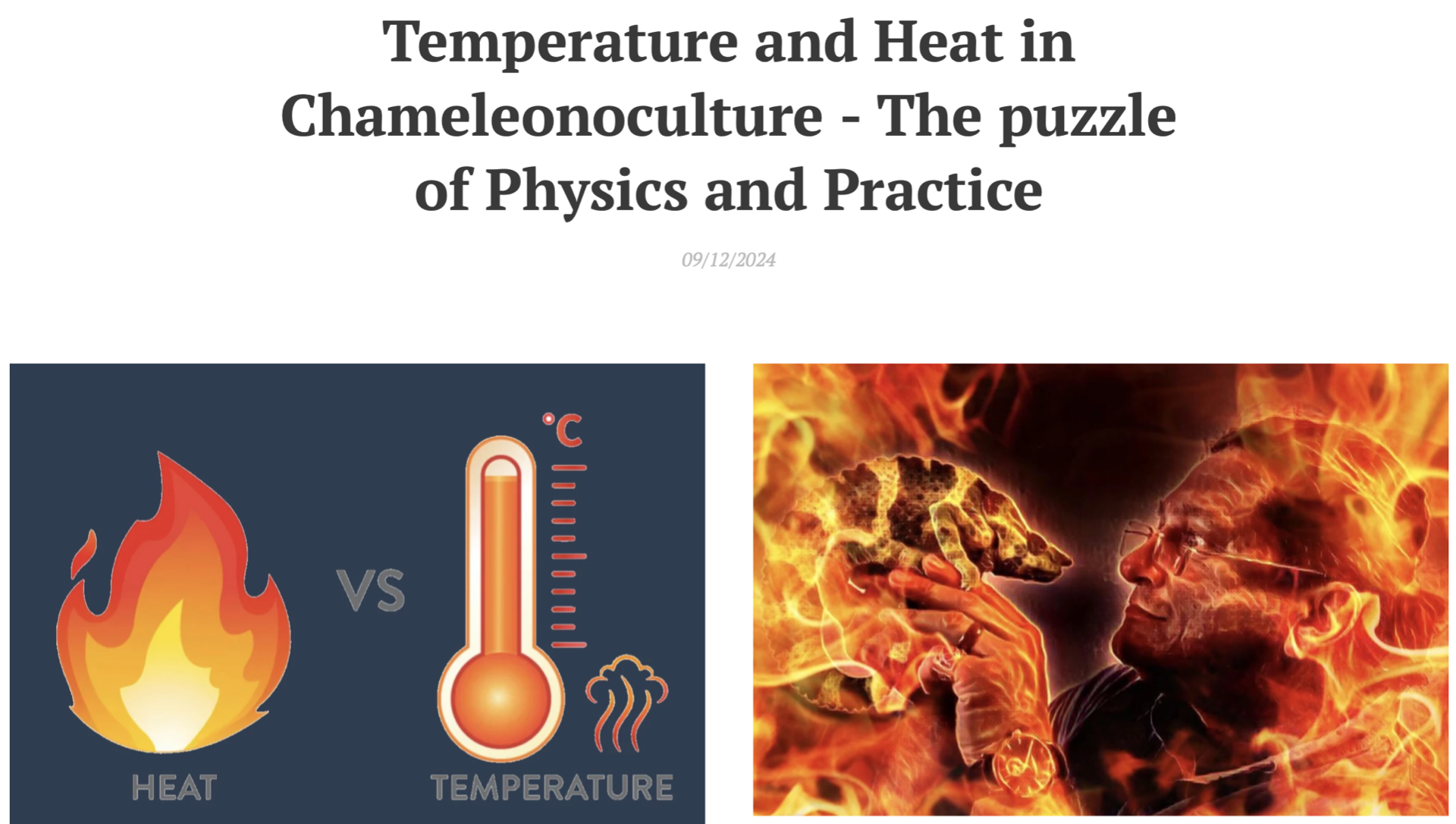 CLICK to get to the article