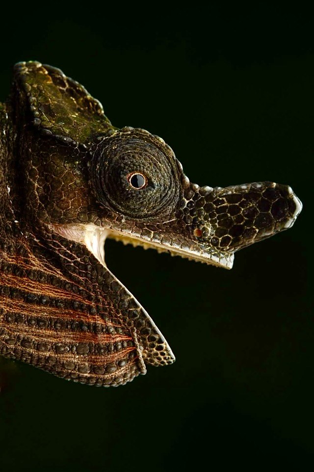 Isaac Wishart, courtesy Jurgen van Overbeke