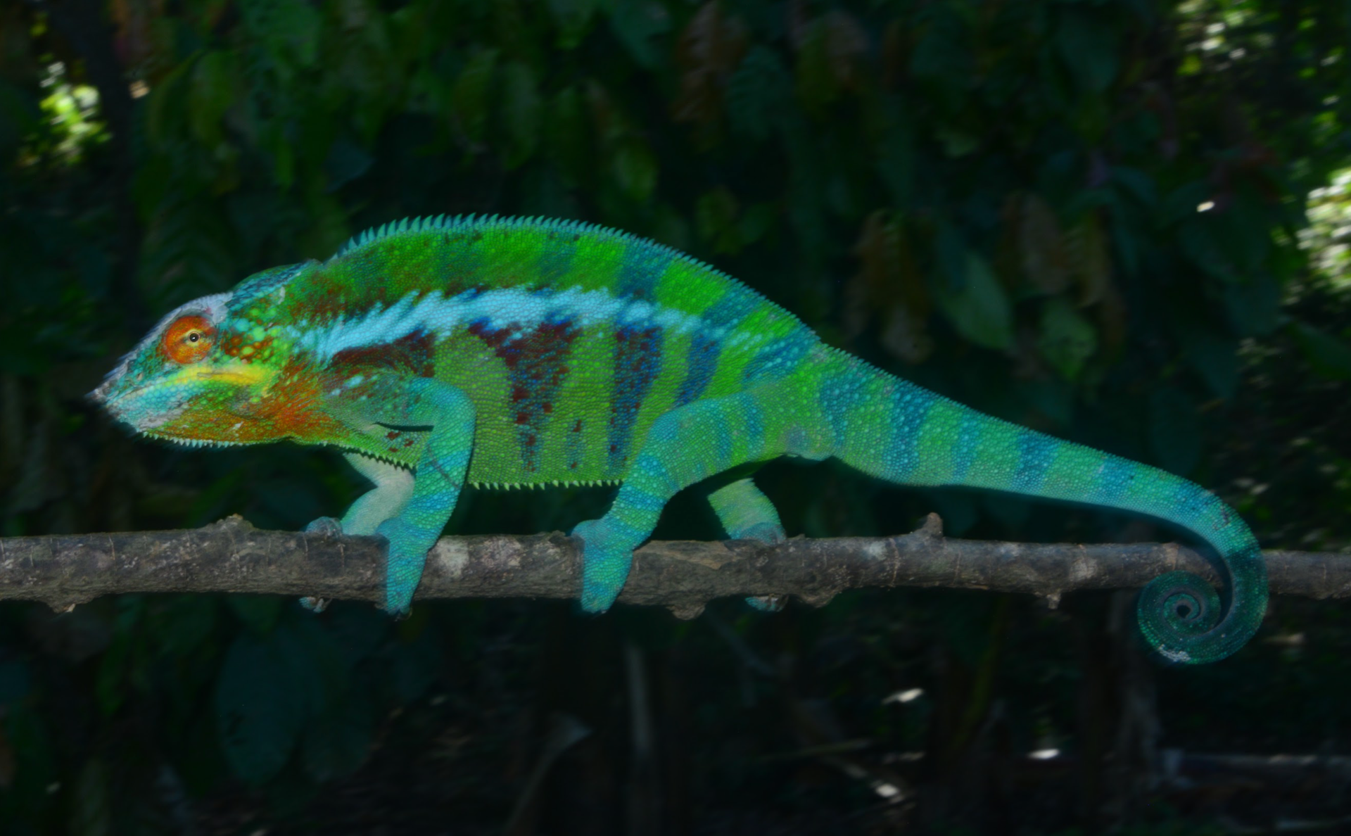 Ankify, hard to distinguish from Nosy Tanikely, Ambanja