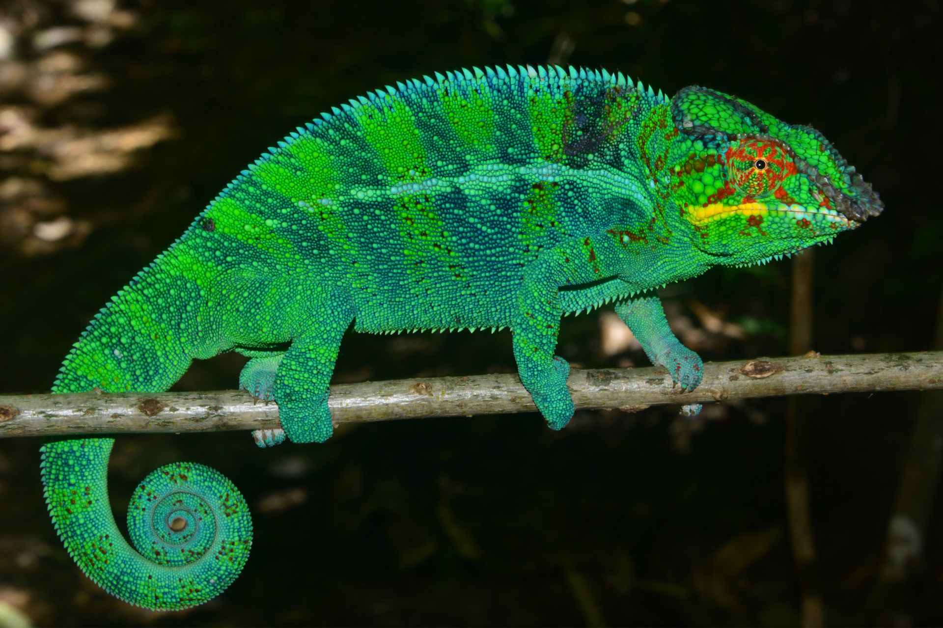 Nosy Be, easy to confuse with Nosy Komba